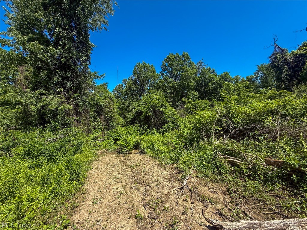 Lot 4 Altamont Road Mingo Junction, OH 43938 - Photo 3 of 27 Gallery Image 3