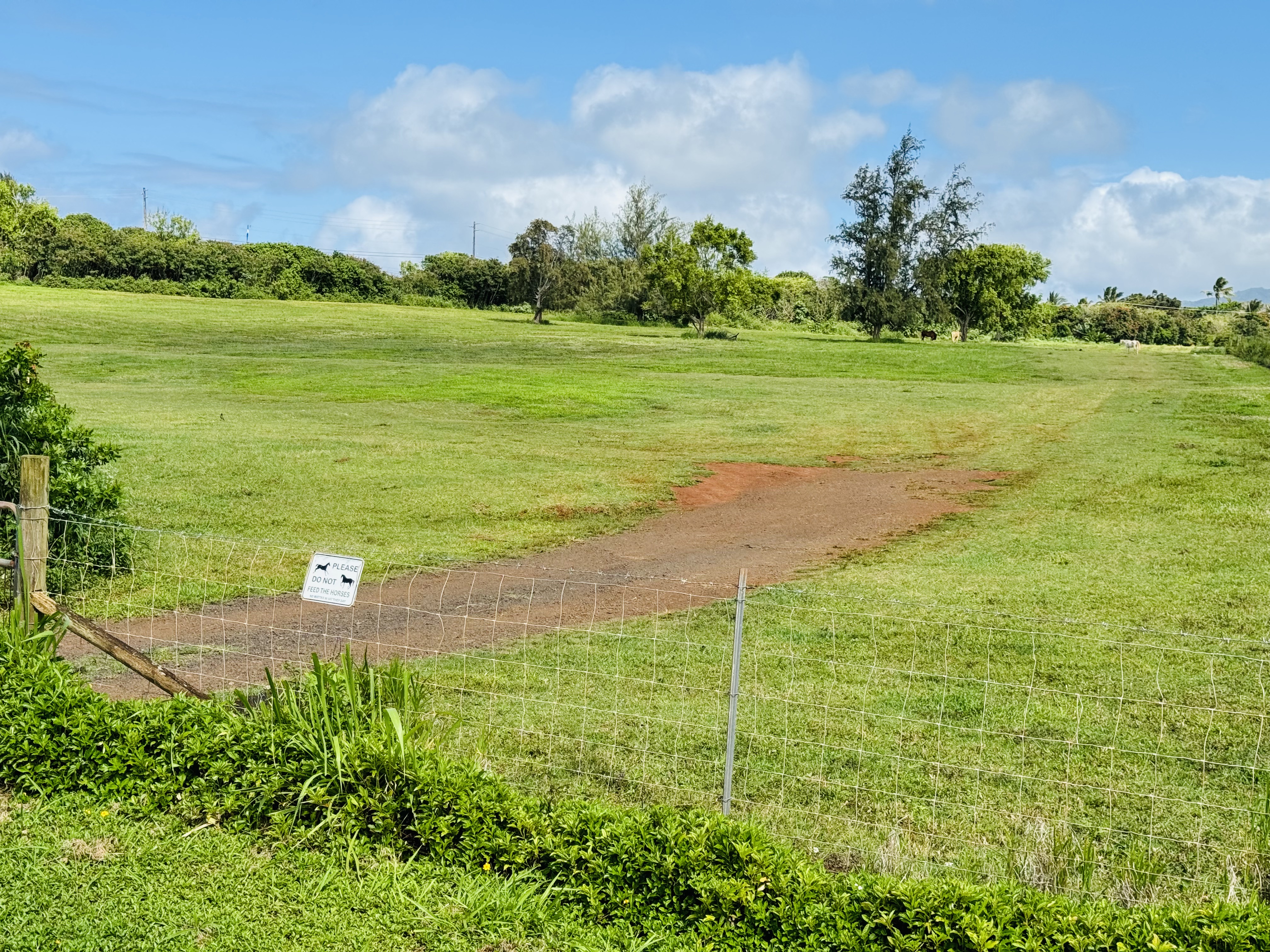 1 Kilauea Road Kilauea, HI 96754 - Photo 1 of 2 Gallery Image 1