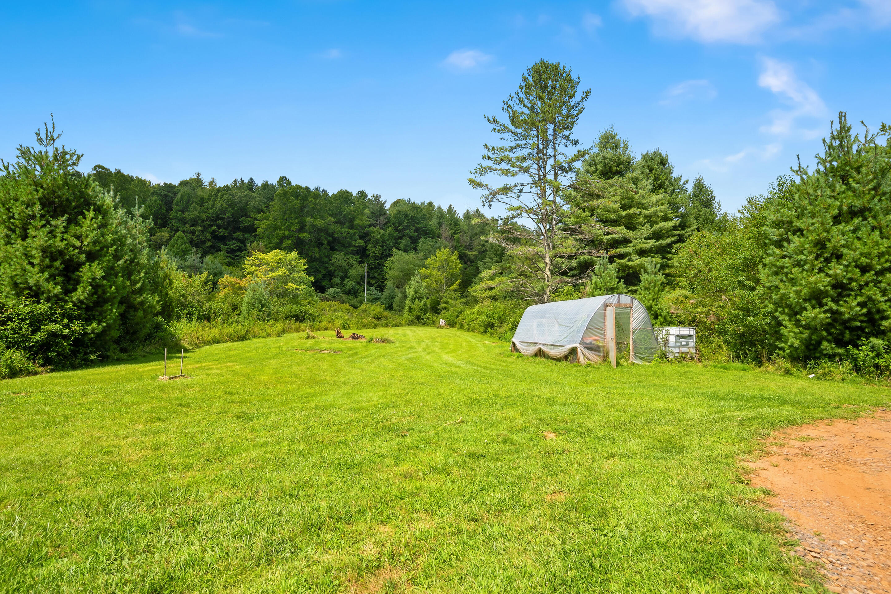 1591 Moles Road Southwest Willis, VA 24380 - Photo 82 of 97 Name82