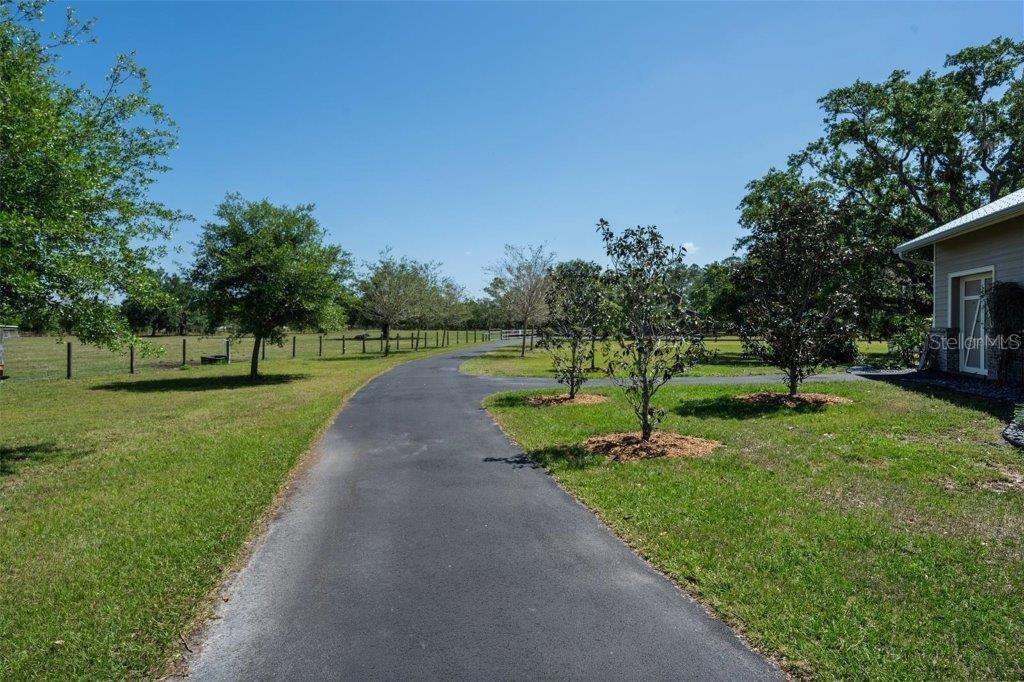 12615 River Road Myakka City, FL 34251 - Photo 54 of 88