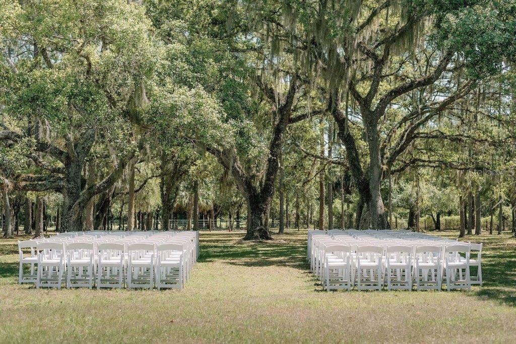 12615 River Road Myakka City, FL 34251 - Photo 73 of 88