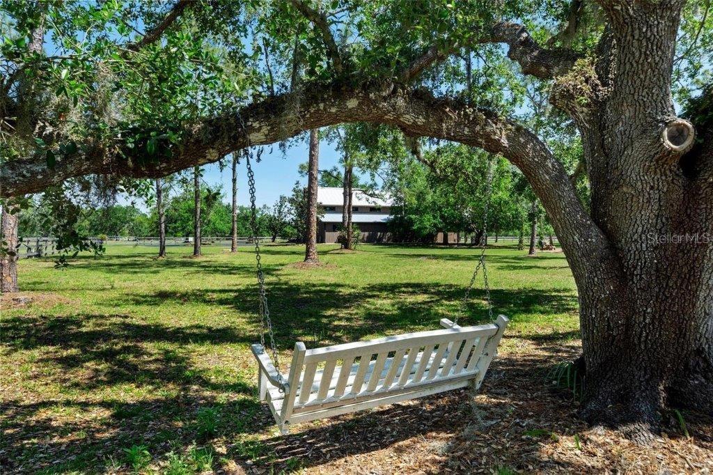 12615 River Road Myakka City, FL 34251 - Photo 81 of 88