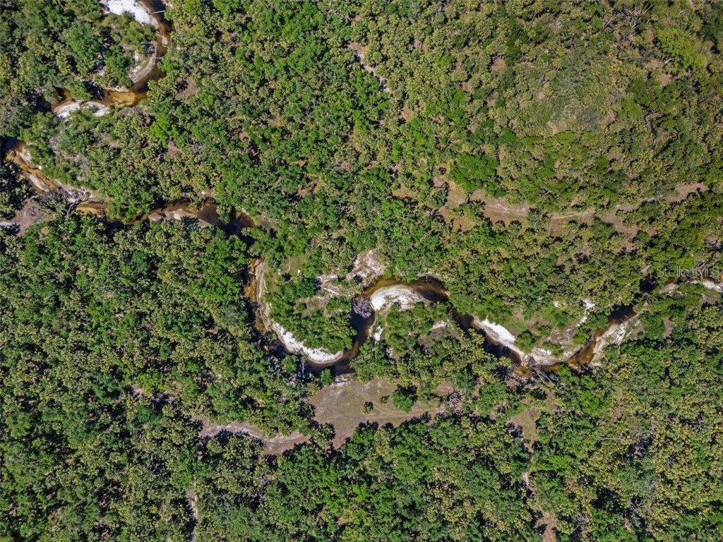 12615 River Road Myakka City, FL 34251 - Photo 82 of 88