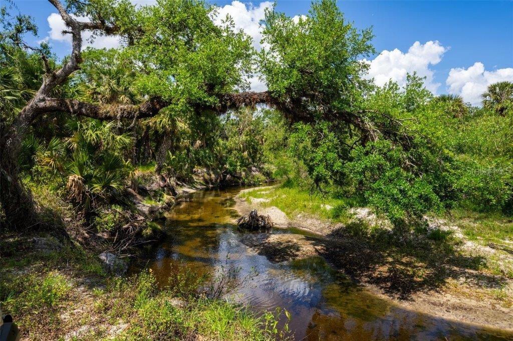 12615 River Road Myakka City, FL 34251 - Photo 83 of 88