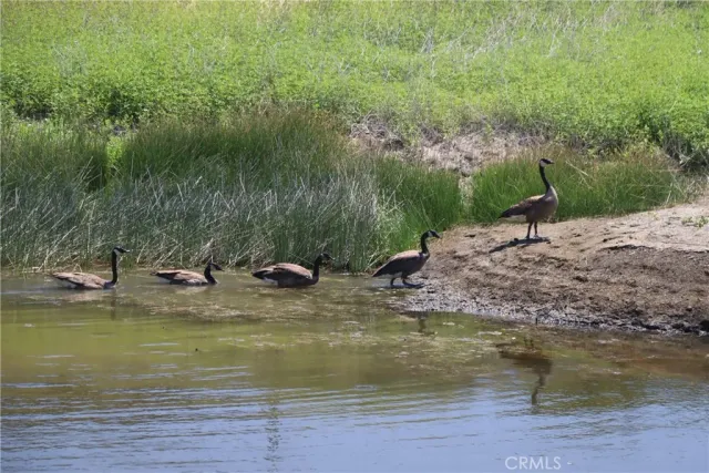 a view of a lake view