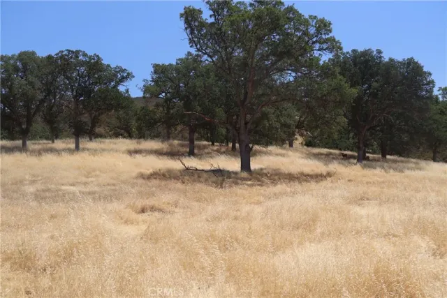 a view of city and mountain