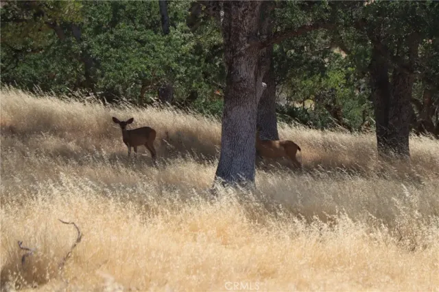 $725,000 | 22605 Cascio, Lower Lake, CA 95457