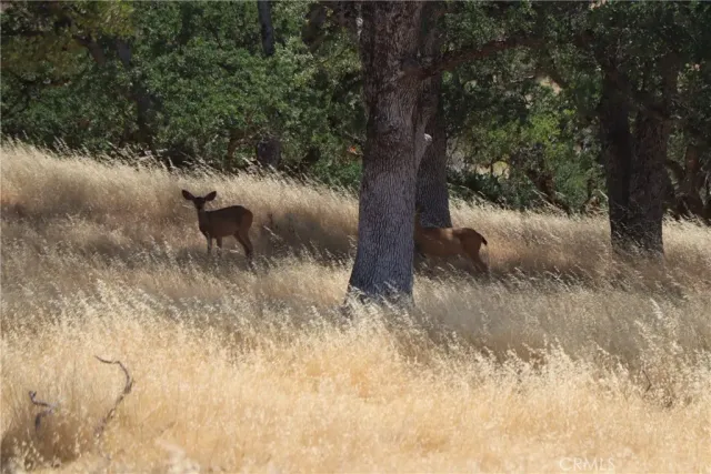 a kitchen with a sink and large window