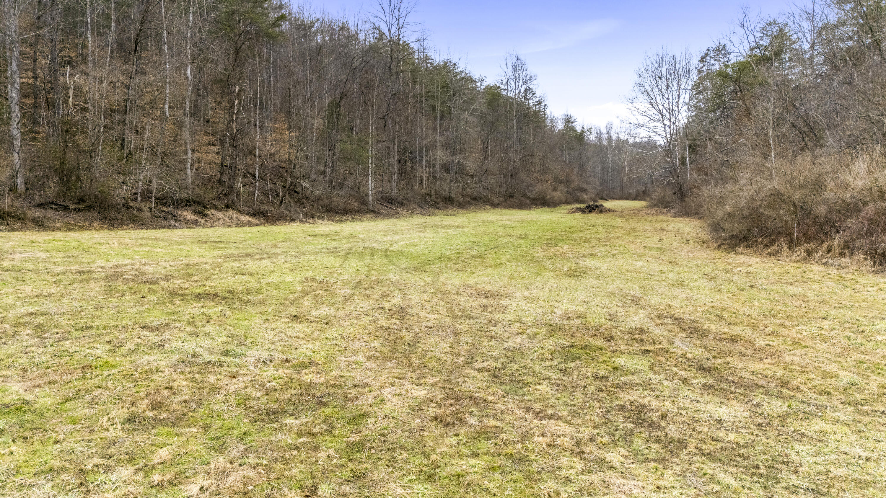 1657 Cave Branch Road Campton, KY 41301 - Photo 4 of 26 DJI_20250205112035_0123_D