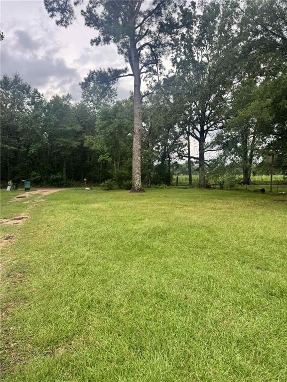 109 Elm Lane Amite, LA 70422 - Photo 10 of 10