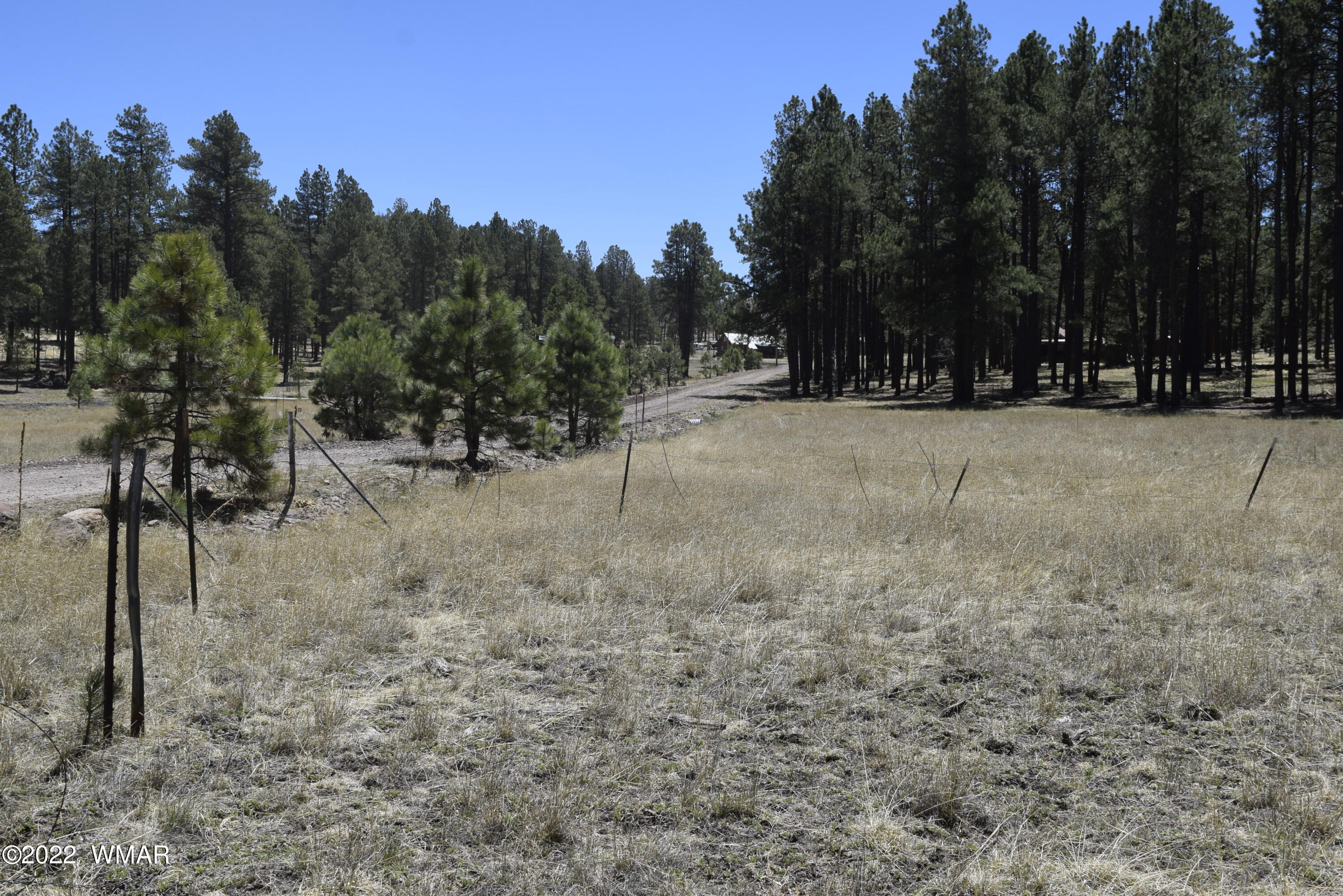 61 County Road Alpine, AZ 85920 - Photo 3 of 5