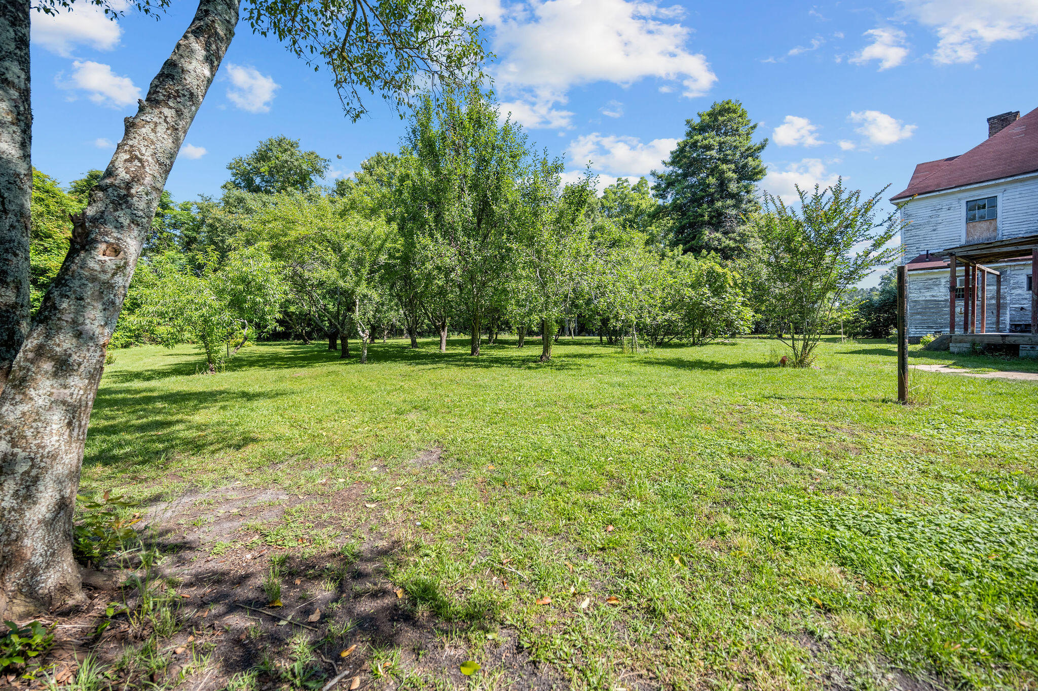 4756 Old State Road Holly Hill, SC 29059 - Photo 37 of 42 DSC_1736