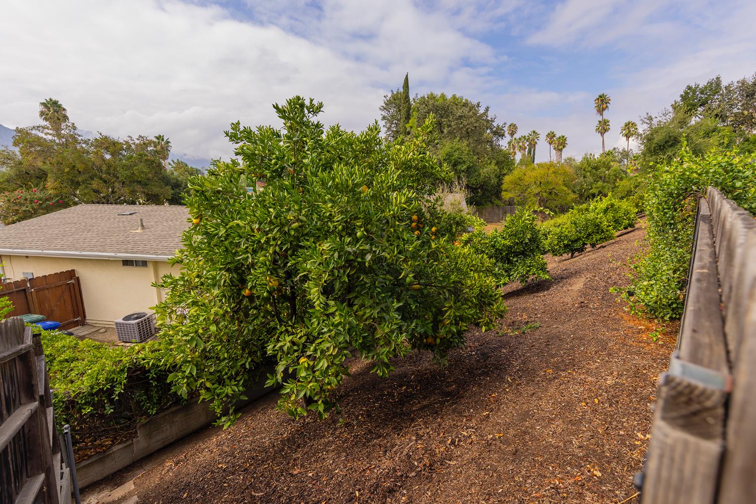 1209 San Ramon Way Ojai, CA 93023 - Photo 37 of 46 Gallery Image 37