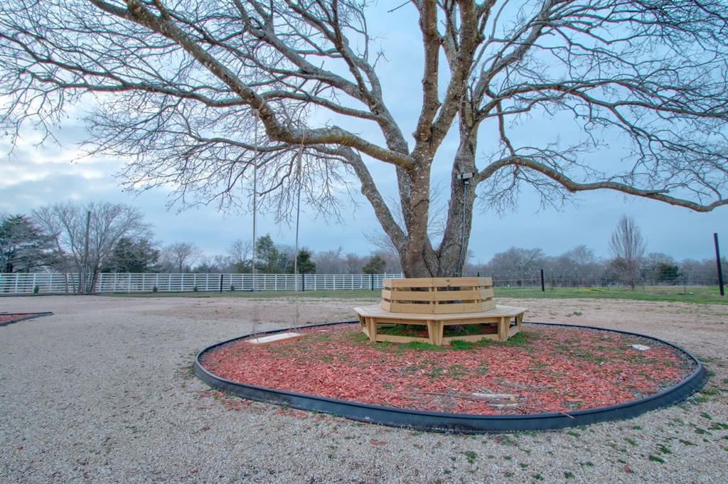 550 County Road 297 Gainesville, TX 76240 - Photo 18 of 24 a view of a backyard with large trees