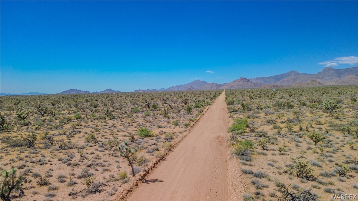 169 South Cattle Crossing Road Yucca, AZ 86438 - Photo 10 of 13