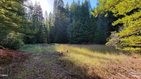 a view of lake with green space