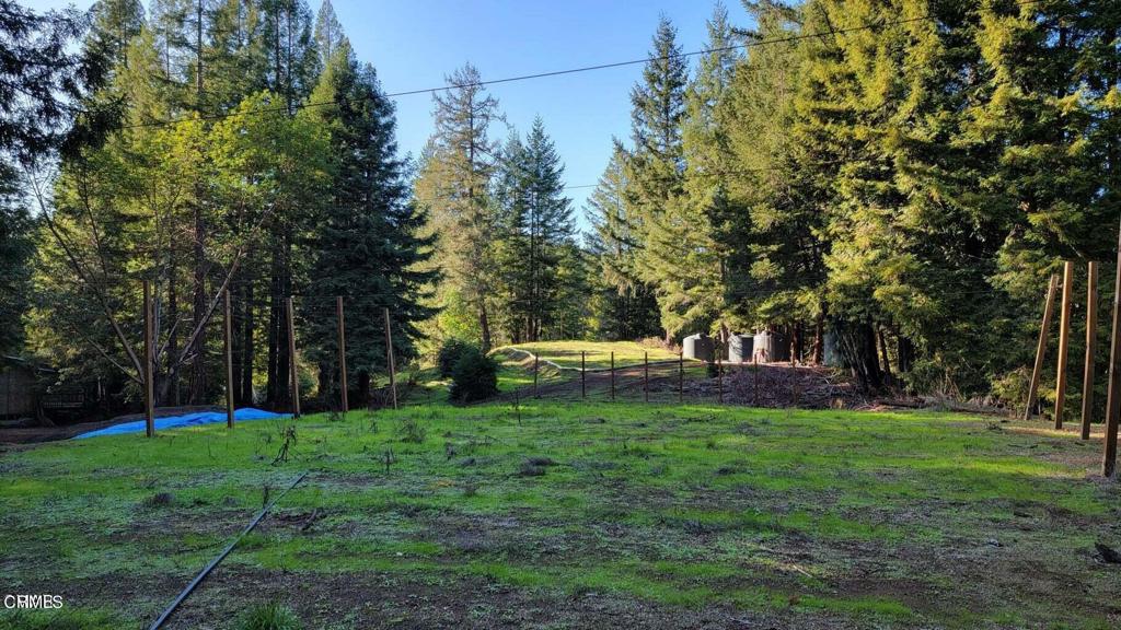 26030 Comptche Ukiah Road Comptche, CA 95427 - Photo 19 of 25 a view of yard with trees