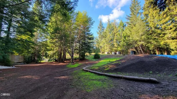 a view of a park with large trees