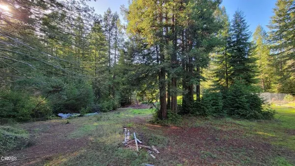 a view of empty room with wooden ceiling