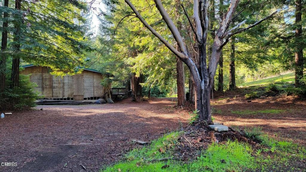 26030 Comptche Ukiah Road Comptche, CA 95427 - Photo 3 of 25 a backyard of a house with lots of green space