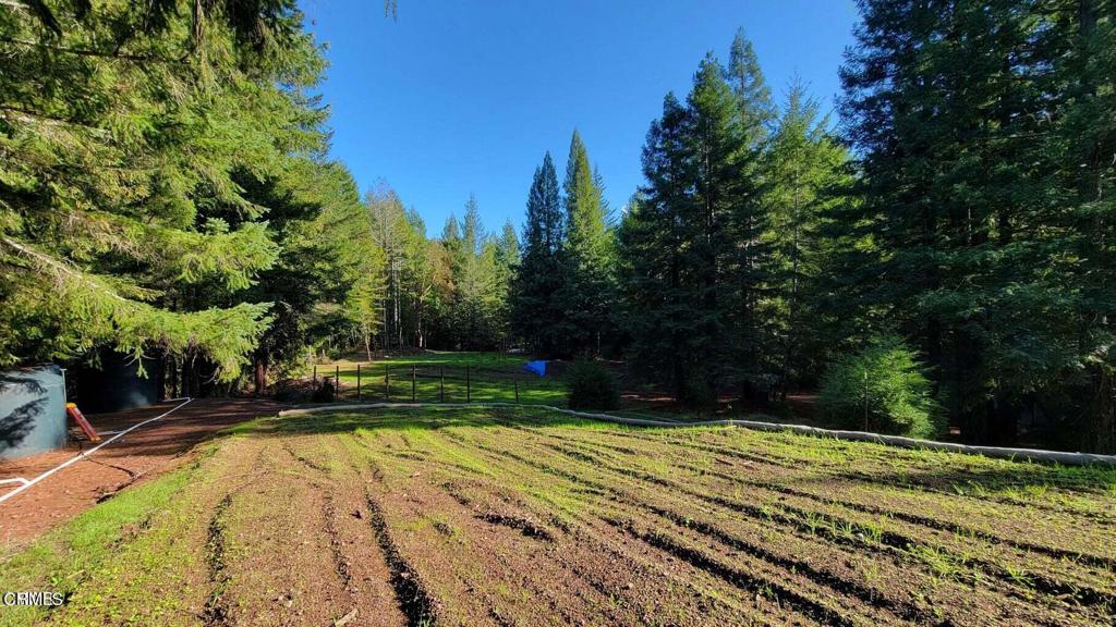 26030 Comptche Ukiah Road Comptche, CA 95427 - Photo 4 of 25 a view of a backyard with green space