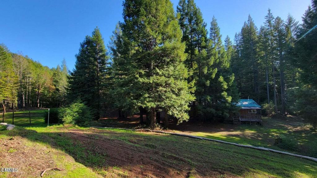 26030 Comptche Ukiah Road Comptche, CA 95427 - Photo 5 of 25 a view of a backyard with green space
