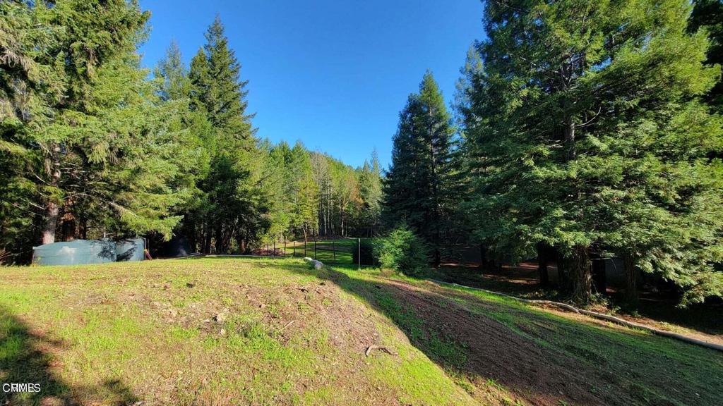 26030 Comptche Ukiah Road Comptche, CA 95427 - Photo 6 of 25 a view of swimming pool with a yard