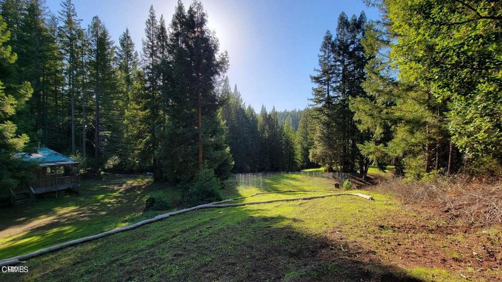 26030 Comptche Ukiah Road Comptche, CA 95427 - Photo 7 of 25 a view of a basketball court