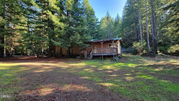 a backyard of a house with yard and trampoline