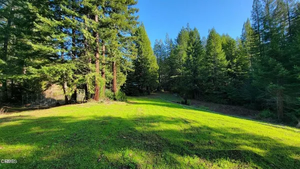 a view of a yard with a trees