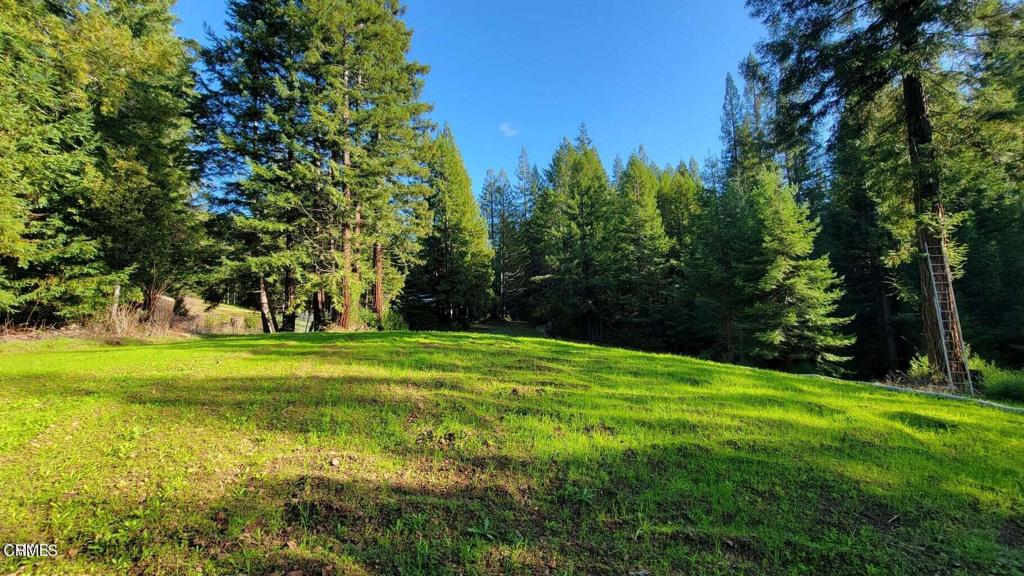 26030 Comptche Ukiah Road Comptche, CA 95427 - Photo 10 of 25 a view of a trees in a yard with large trees