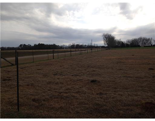 26551 State Line Road Lucedale, MS 39452 - Photo 11 of 12 Additional Photo