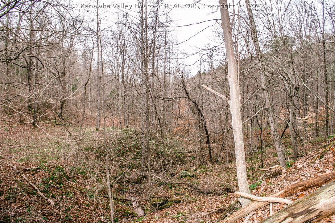 4075 Stone Lick Road Kenna, WV 25248 - Photo 20 of 20 Gallery Image 20