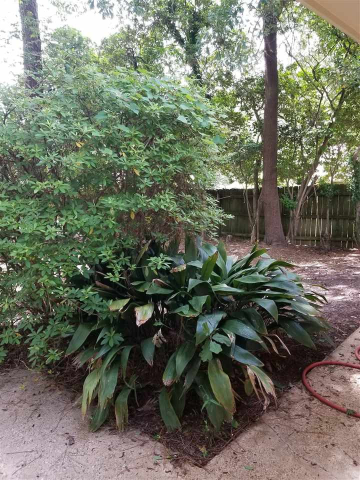4741 Old Poplar Road Jackson, MS 39212 - Photo 17 of 18 Photo 17