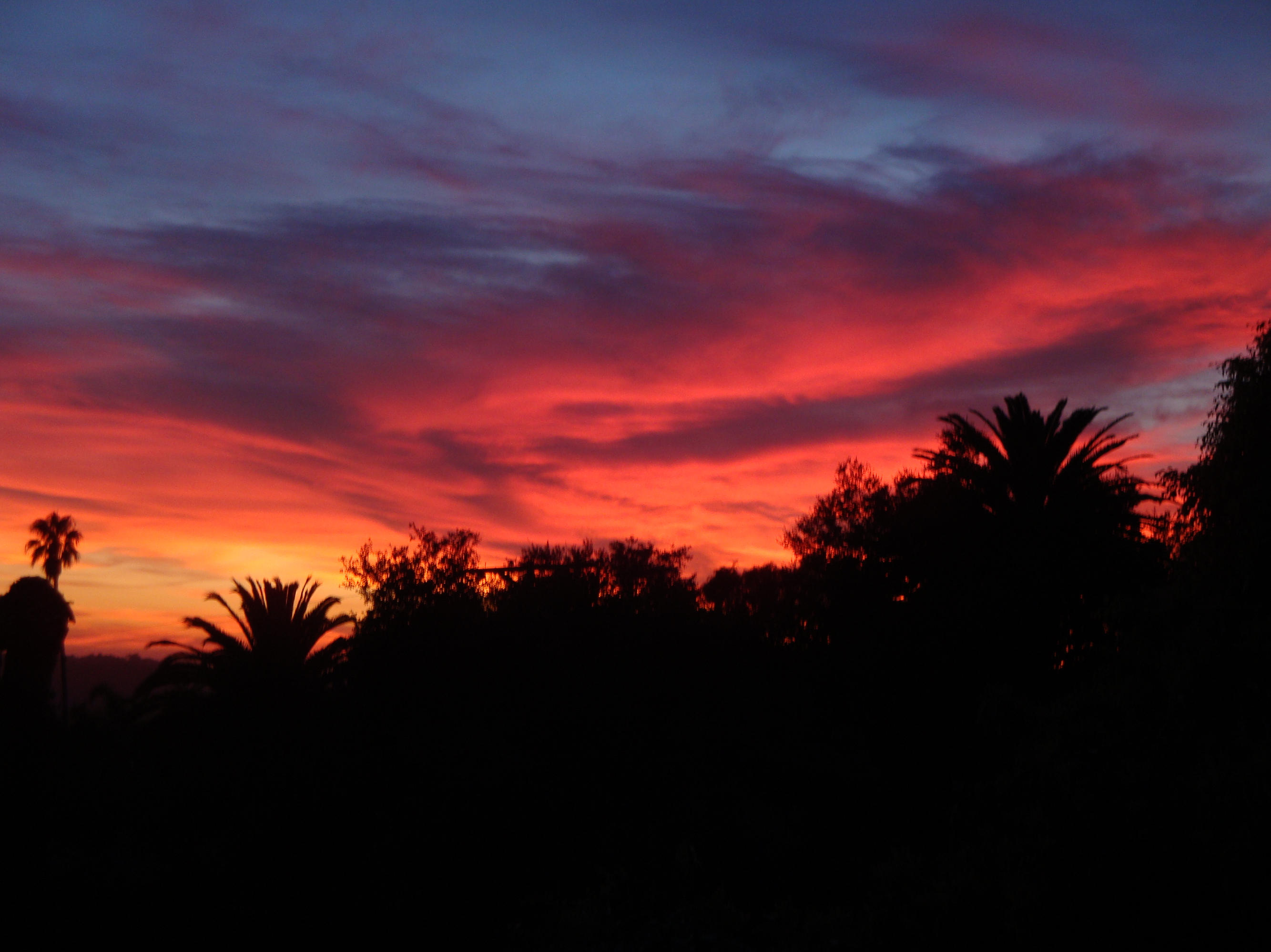 868 Cheltenham Road Santa Barbara, CA 93105 - Photo 2 of 18 Magical Sunsets!