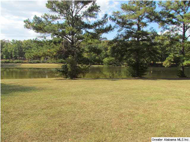 307 Kiowa Road Remlap, AL 35133 - Photo 4 of 20