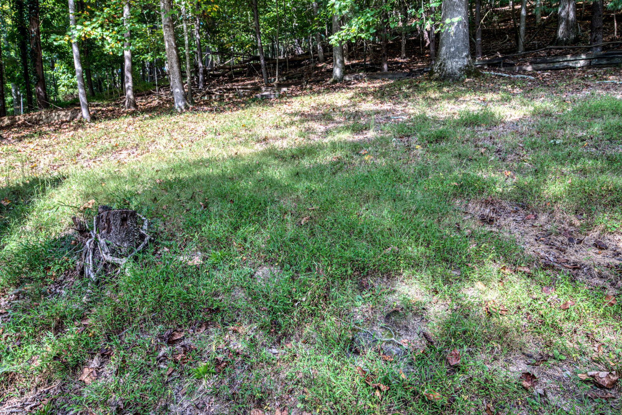 440 Lakeshore Road Bluff City, TN 37618 - Photo 38 of 51 DSC_2112_57