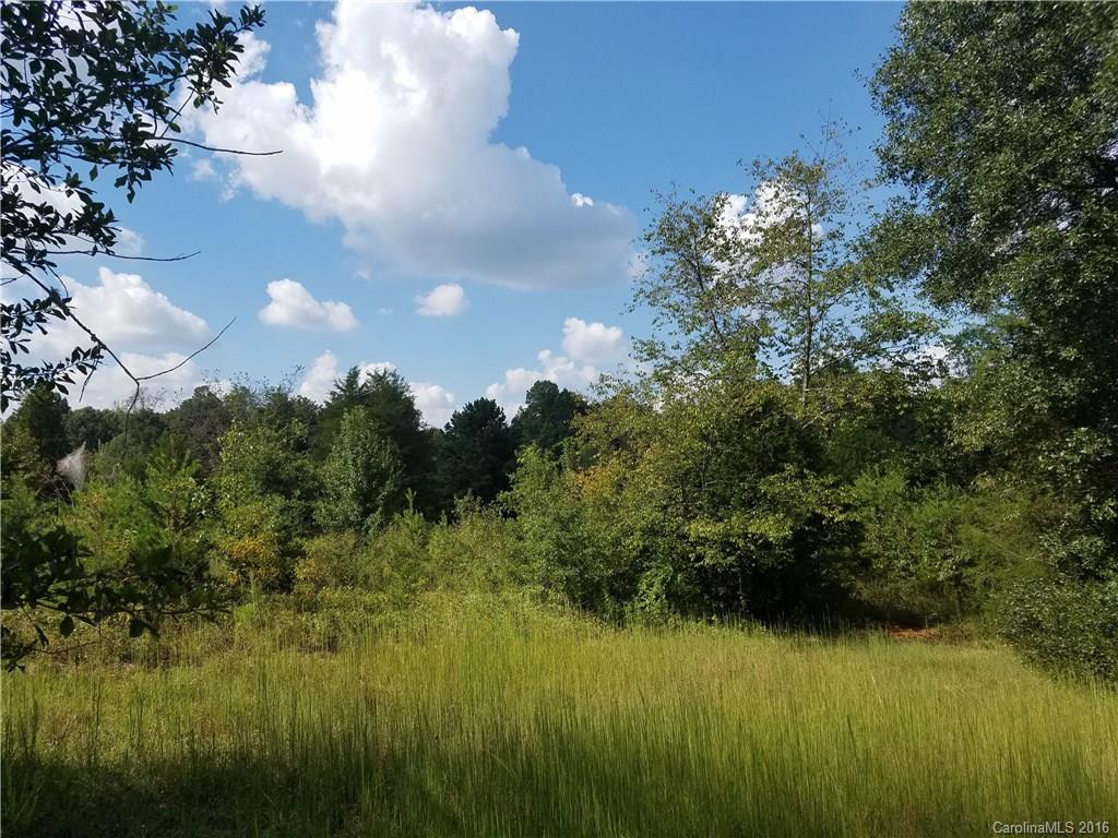 1304 Davis Road Lincolnton, NC 28092 - Photo 4 of 5