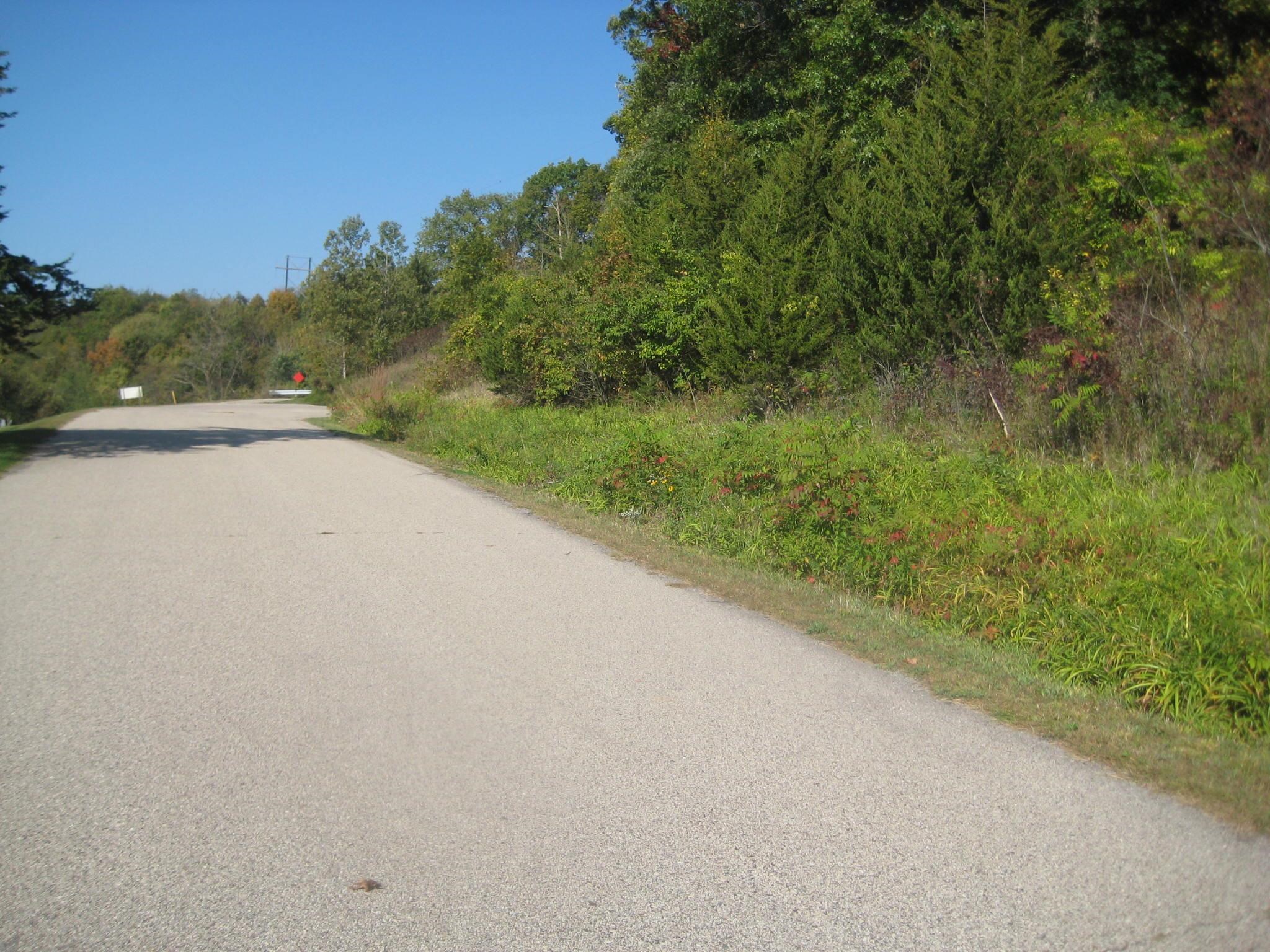 0 Cemetery Wauzeka, WI 53826 - Photo 2 of 5