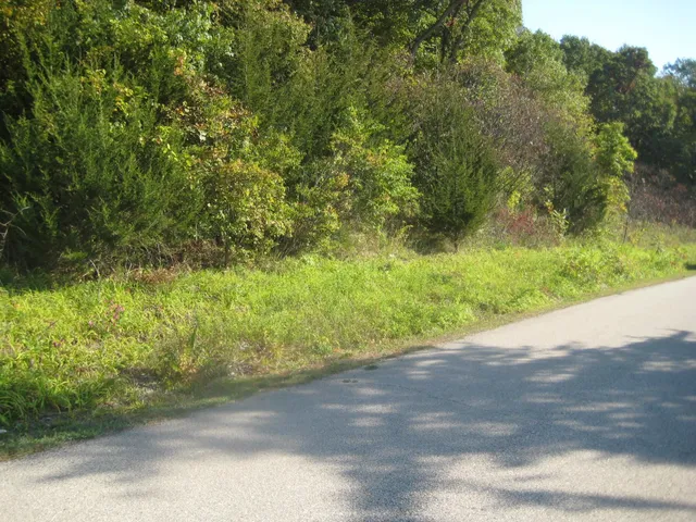 $39,000 | 0 Cemetery, Wauzeka, WI 53826