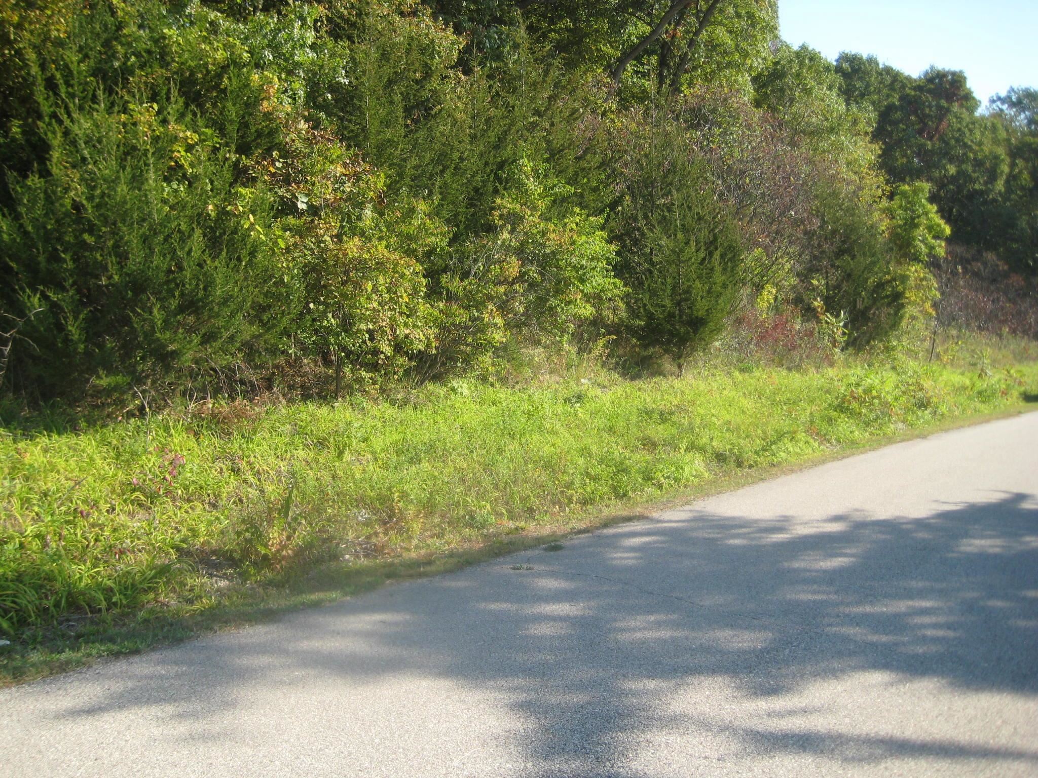 0 Cemetery Wauzeka, WI 53826 - Photo 3 of 5
