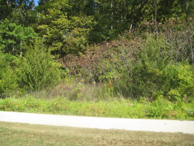 $39,000 | 0 Cemetery, Wauzeka, WI 53826