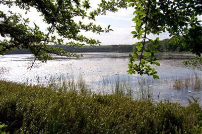 1855 Long Pond Road Brewster, MA 02631 - Photo 18 of 24 Additional Photo