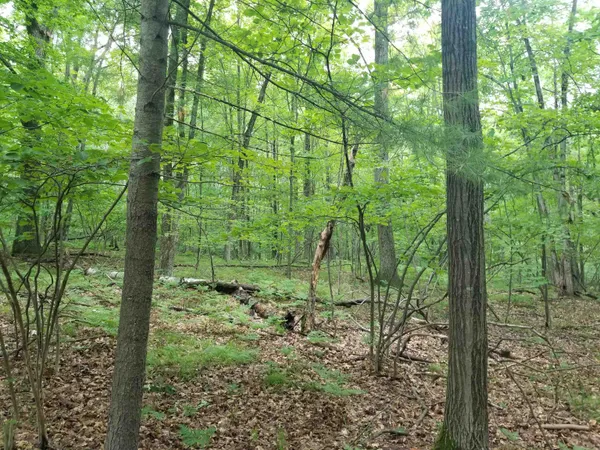 $8,500 | Lot 213 Maple Drive, Clare, MI 48617