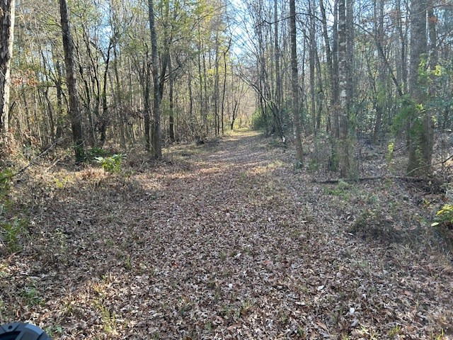 311 Lawrence Reid Road Tylertown, MS 39667 - Photo 16 of 31 Photo 16