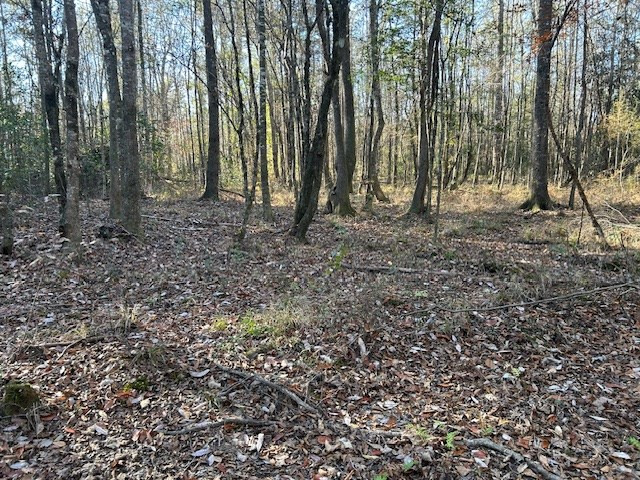311 Lawrence Reid Road Tylertown, MS 39667 - Photo 17 of 31 Photo 17
