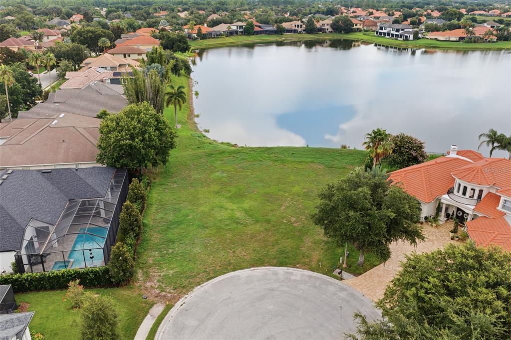 10341 Altrara Way Trinity, FL 34655 - Photo 2 of 29