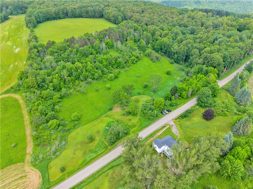 10950 Beals Road Cohocton, NY 14826 - Photo 47 of 49