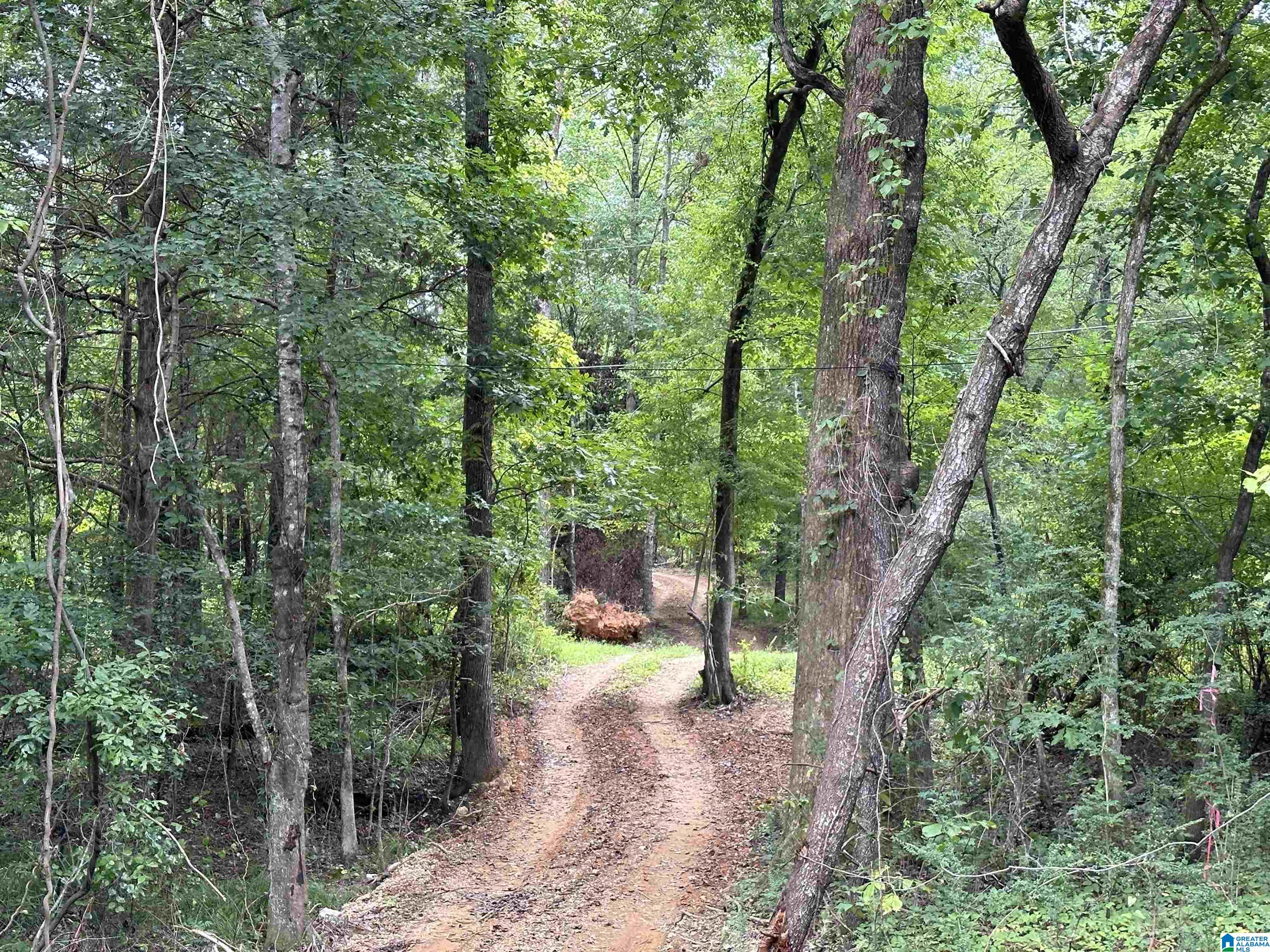 12251 Deer Chase Road McCalla, AL 35111 - Photo 2 of 3