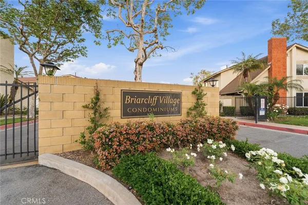 a view of a bunch of flowers